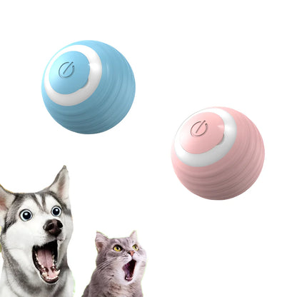 Cat Interactive Ball